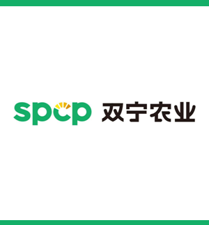 关于双宁